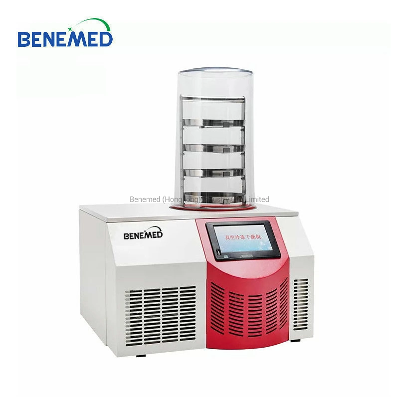 Benchtop Laboratory Vacuum Freeze Drying Machine for Sale Mini Freeze Dryer